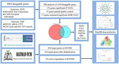 Renshen Yangrong decoction for secondary malaise and fatigue: network pharmacology and Mendelian randomization study